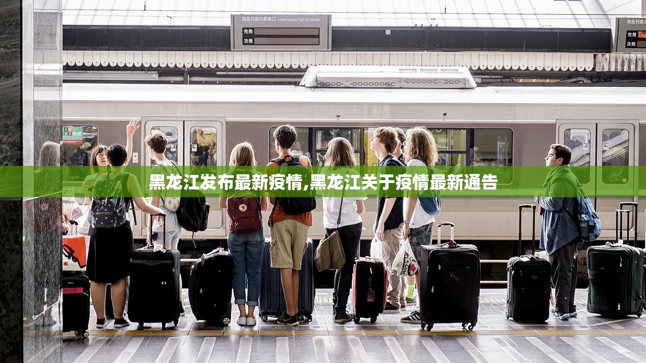 黑龙江发布最新疫情,黑龙江关于疫情最新通告