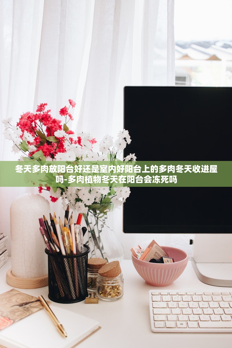 冬天多肉放阳台好还是室内好阳台上的多肉冬天收进屋吗-多肉植物冬天在阳台会冻死吗 冬天多肉放阳台好还是室内好阳台上的多肉冬天收进屋吗-多肉植物冬天在阳台会冻死吗