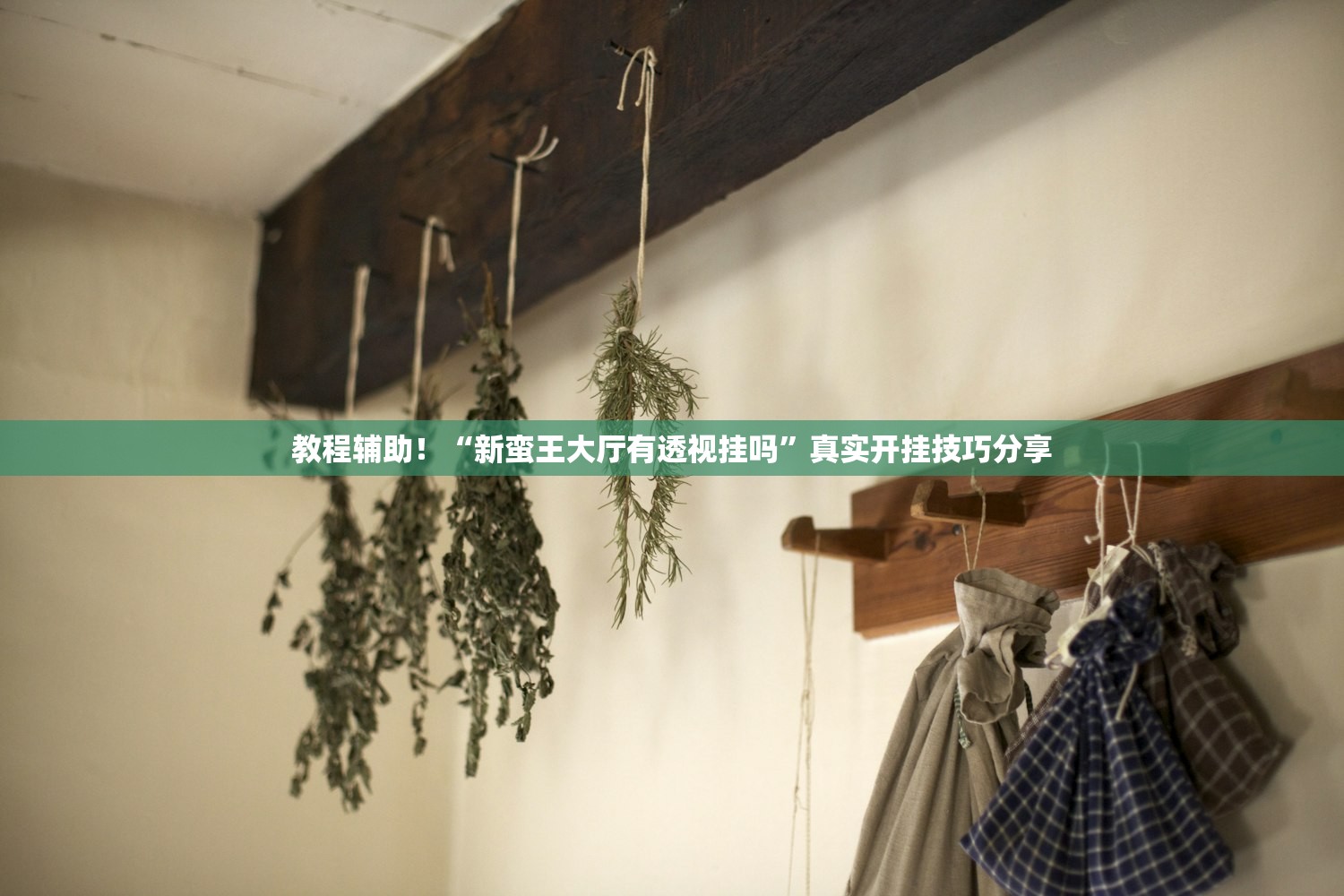 教程辅助！“新蛮王大厅有透视挂吗”真实开挂技巧分享