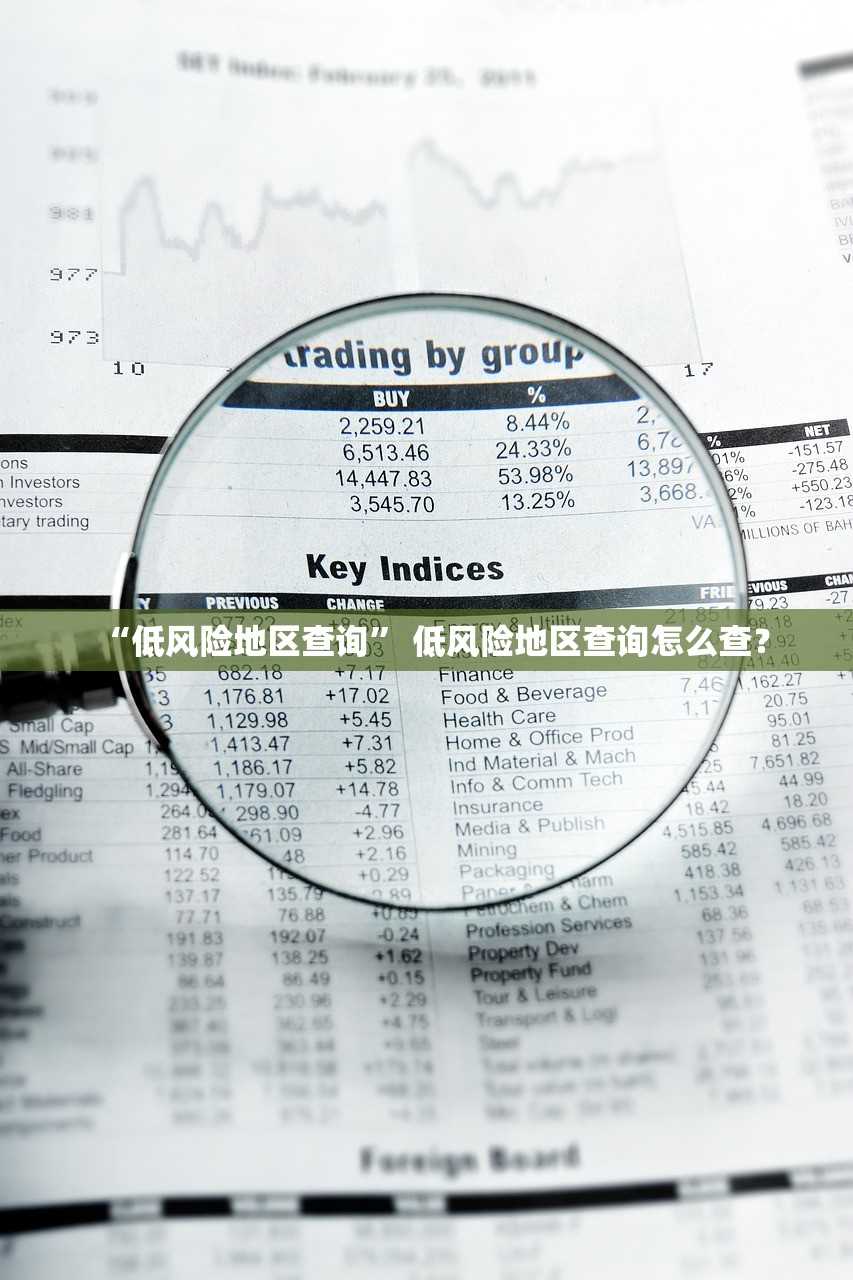 “低风险地区查询” 低风险地区查询怎么查？
