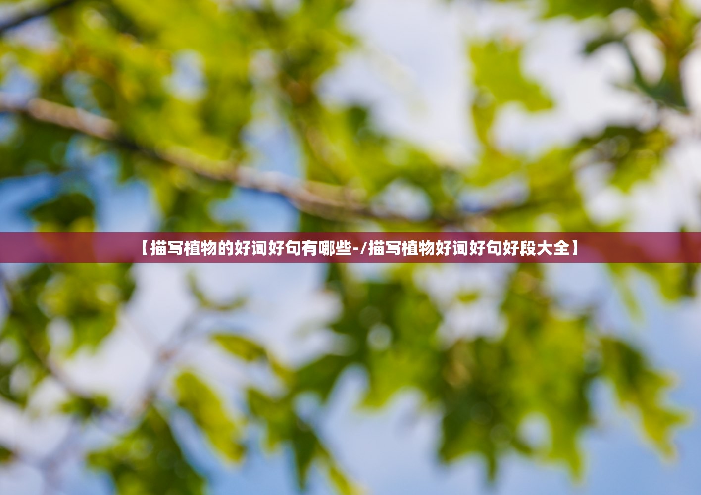 【描写植物的好词好句有哪些-/描写植物好词好句好段大全】 【描写植物的好词好句有哪些-/描写植物好词好句好段大全】