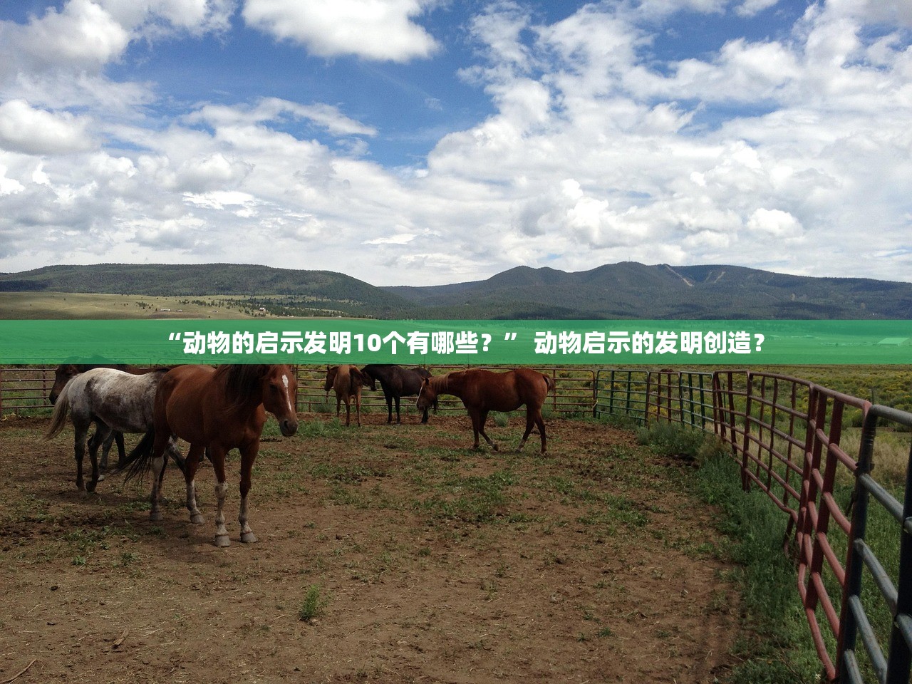 “动物的启示发明10个有哪些？” 动物启示的发明创造？