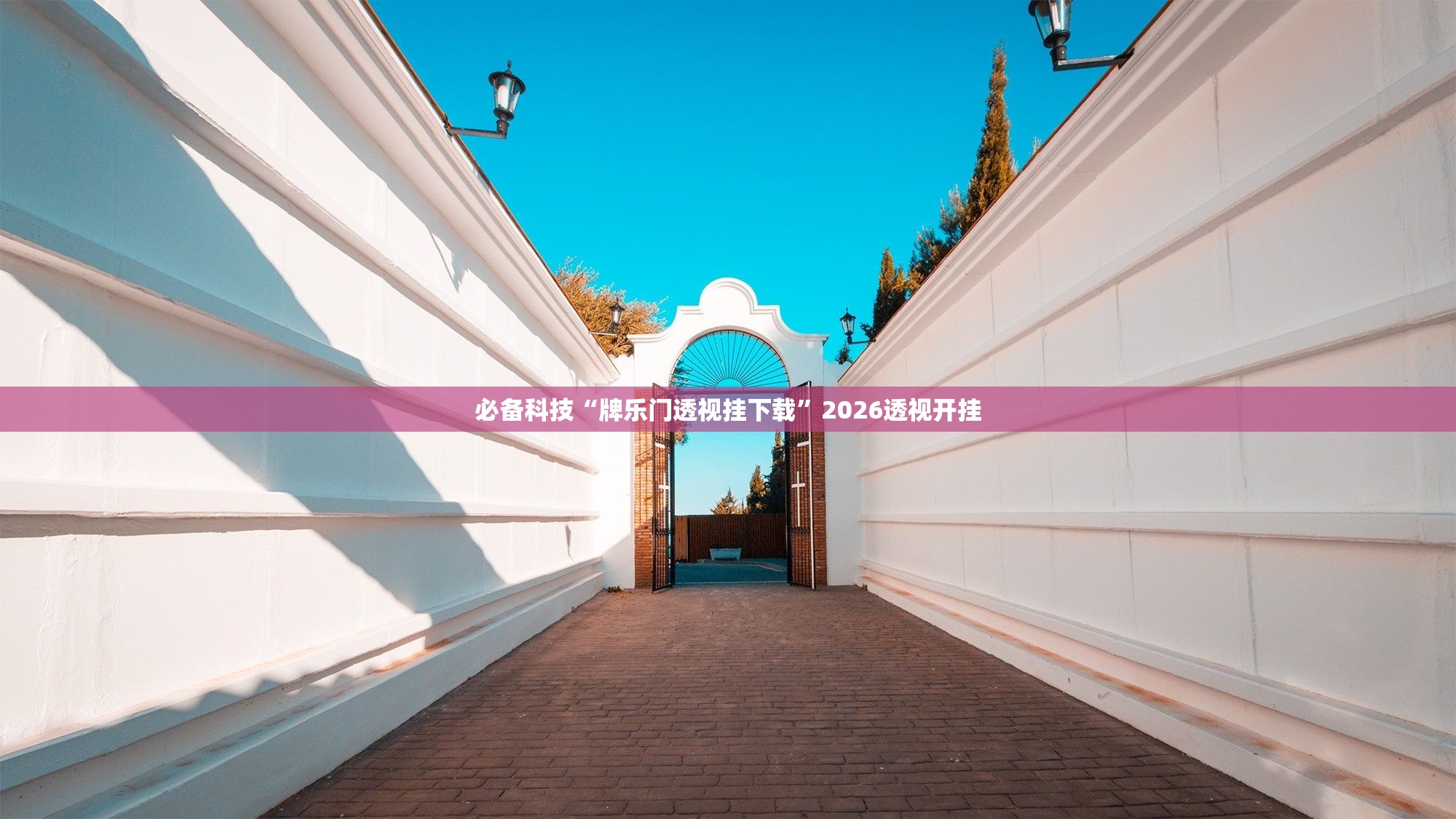 必备科技“牌乐门透视挂下载	”2026透视开挂