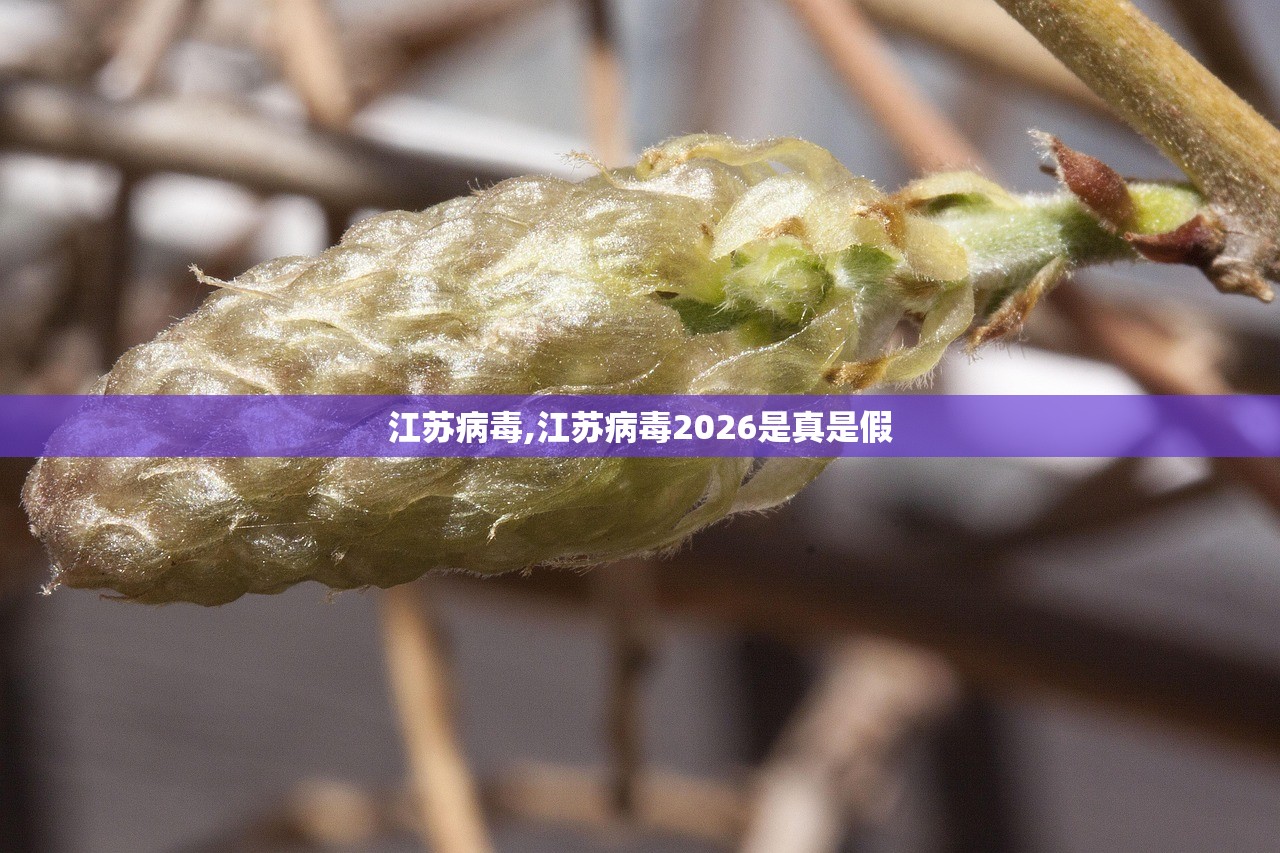 江苏病毒,江苏病毒2026是真是假 江苏病毒,江苏病毒2026是真是假