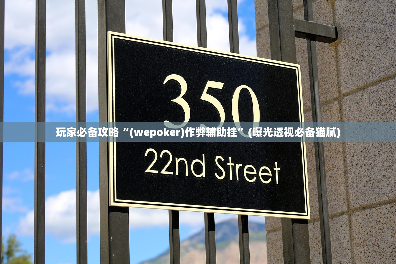玩家必备攻略“(wepoker)作弊辅助挂”(曝光透视必备猫腻)