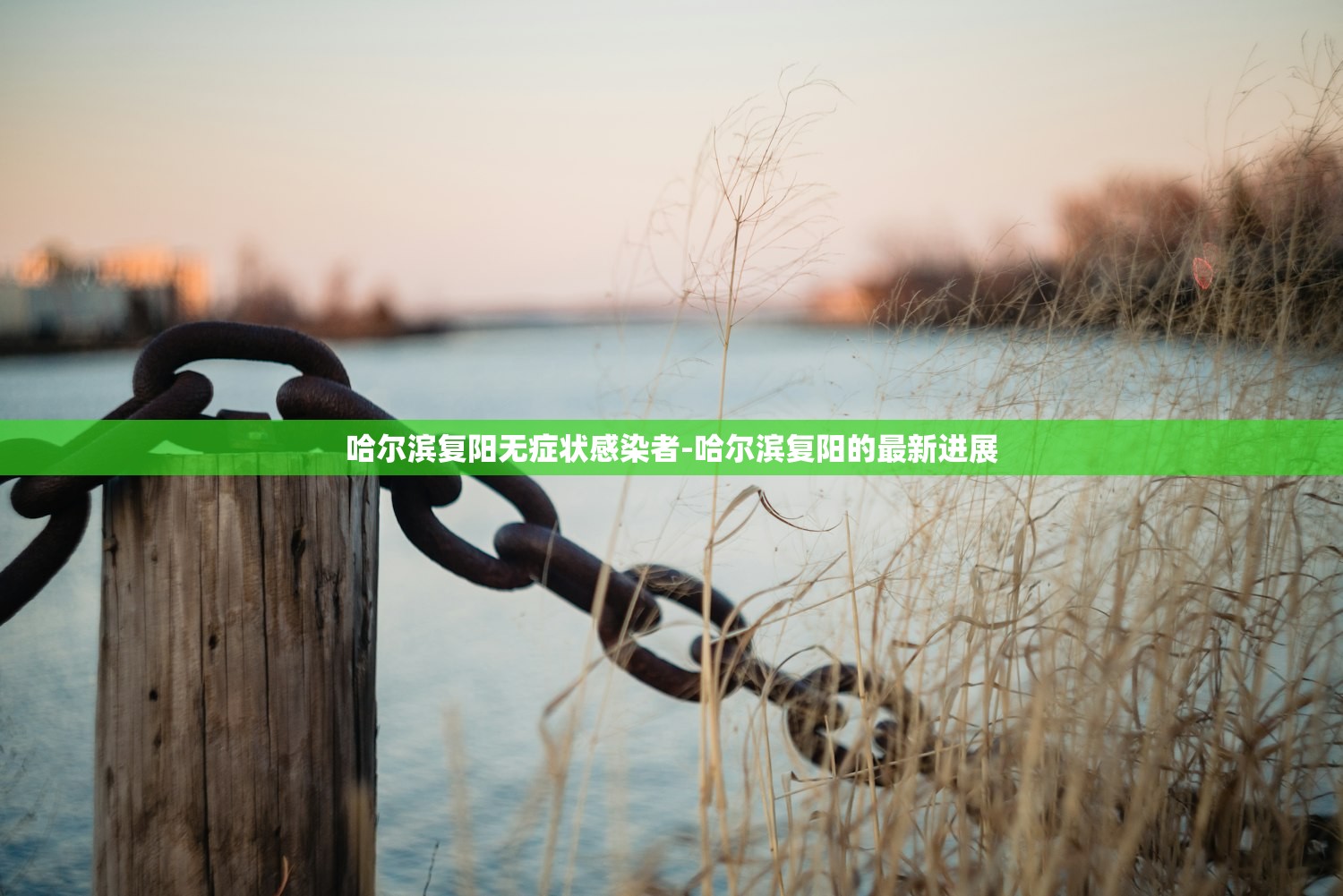 哈尔滨复阳无症状感染者-哈尔滨复阳的最新进展 哈尔滨复阳无症状感染者-哈尔滨复阳的最新进展
