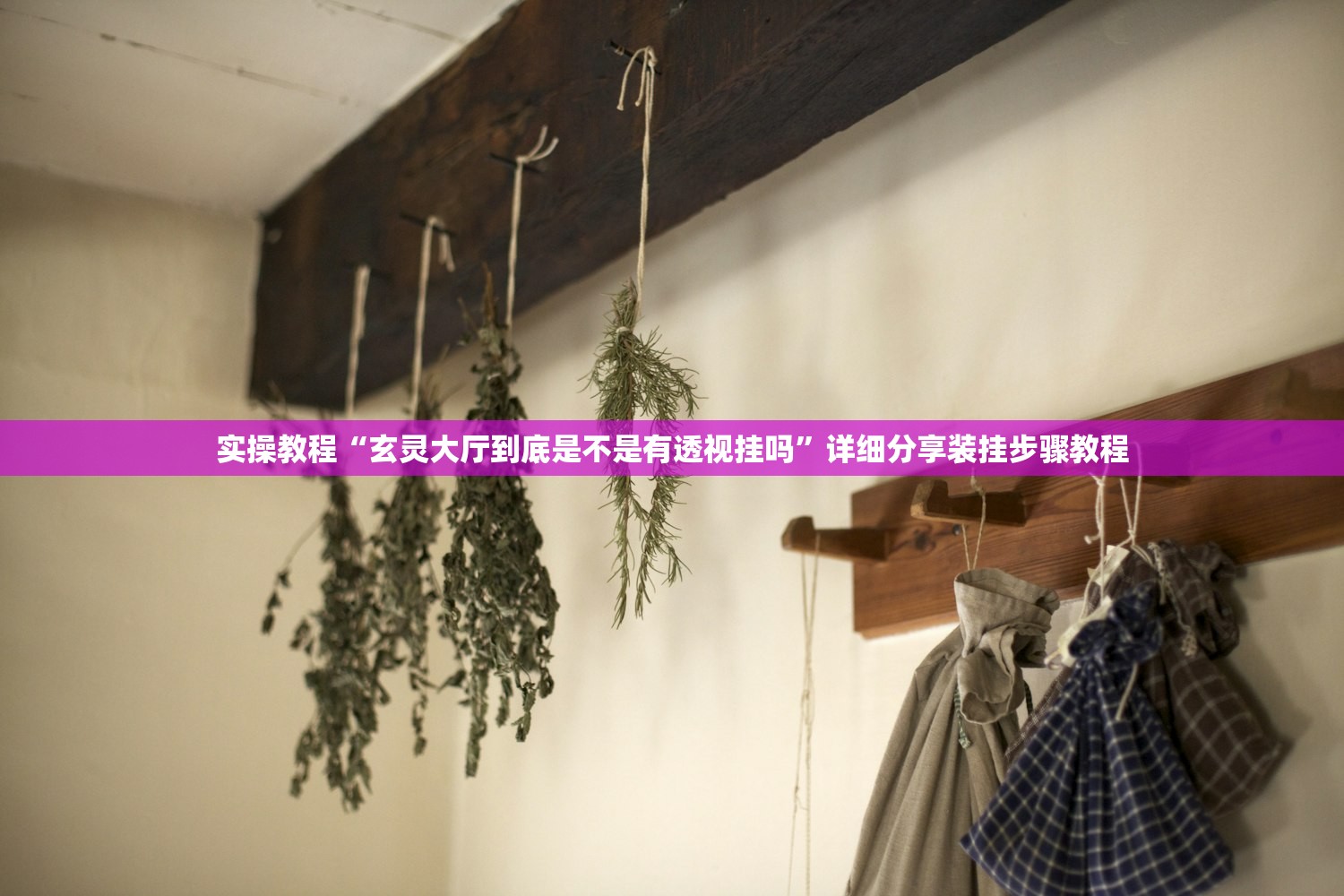 实操教程“玄灵大厅到底是不是有透视挂吗	”详细分享装挂步骤教程