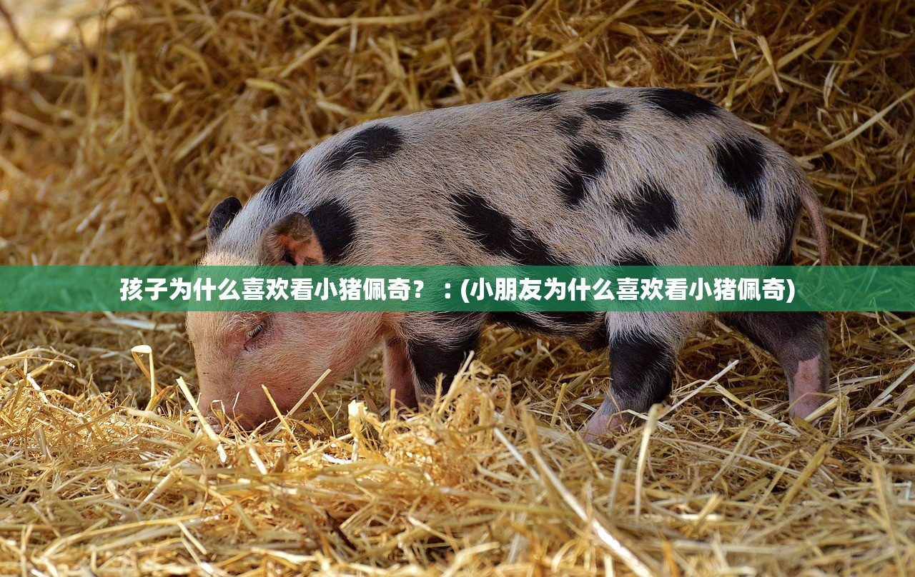 孩子为什么喜欢看小猪佩奇?︰(小朋友为什么喜欢看小猪佩奇) 孩子为什么喜欢看小猪佩奇?︰(小朋友为什么喜欢看小猪佩奇)