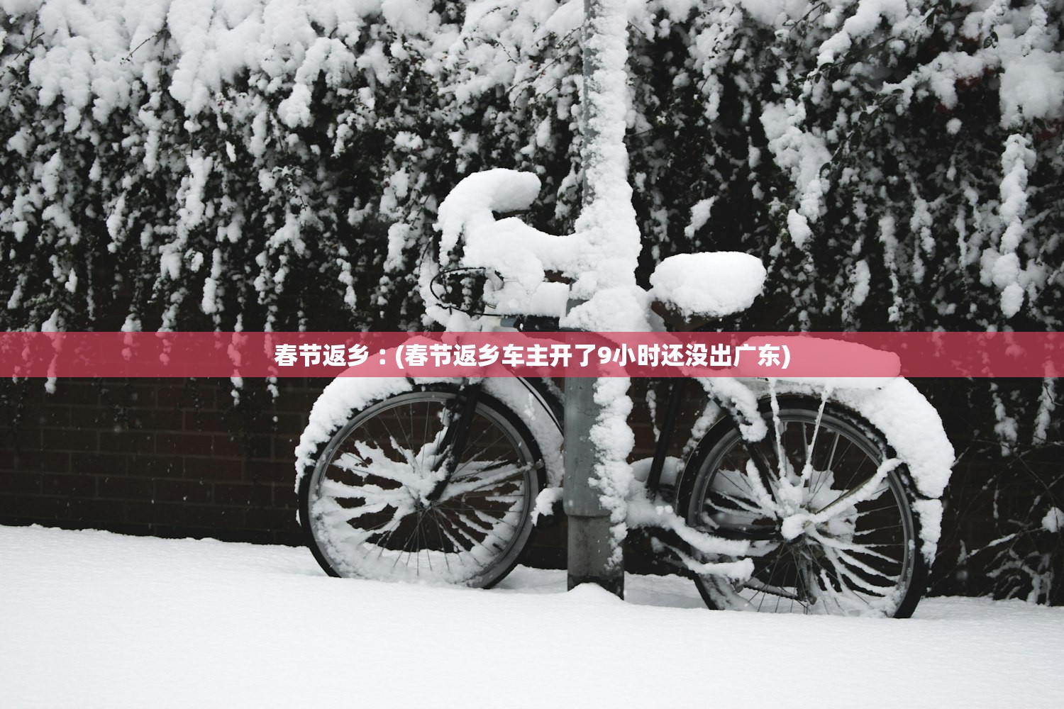 春节返乡︰(春节返乡车主开了9小时还没出广东) 春节返乡︰(春节返乡车主开了9小时还没出广东)