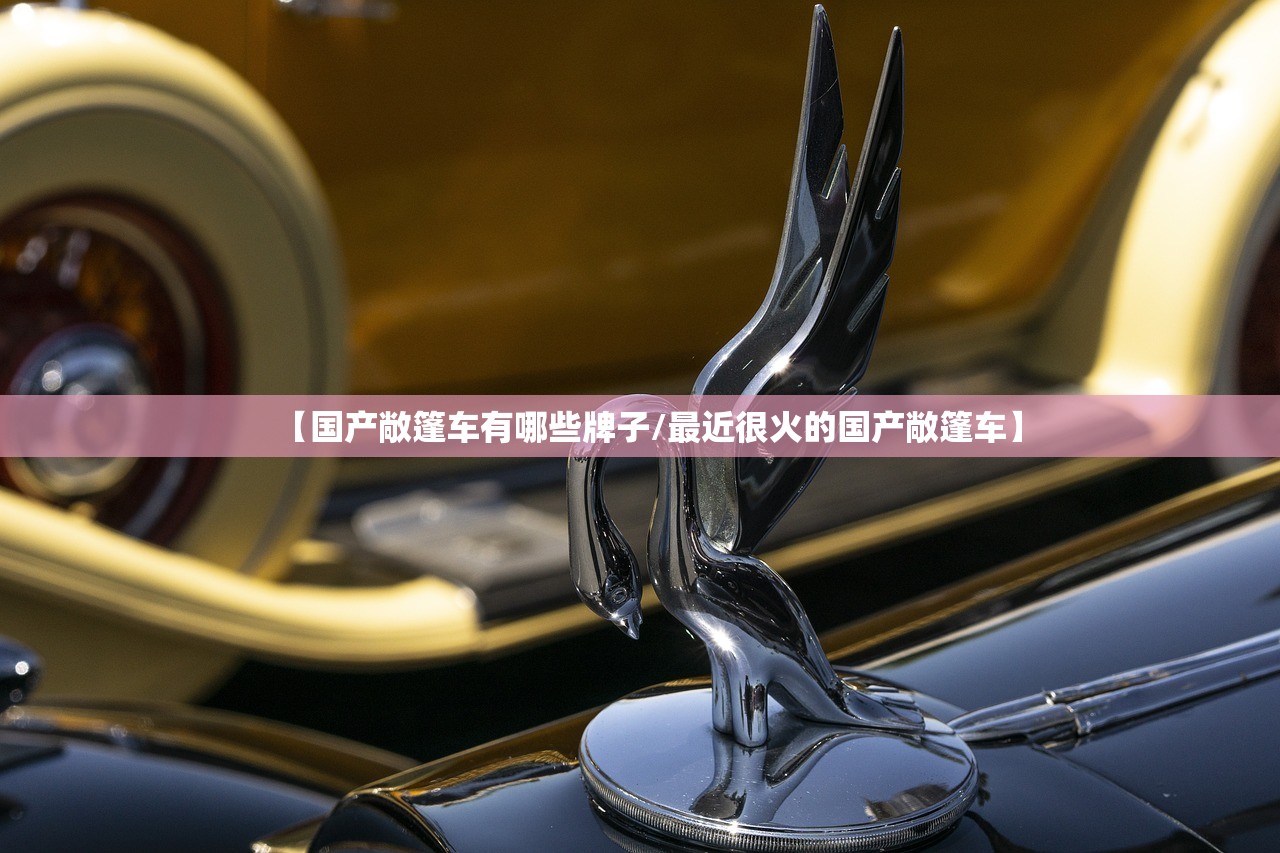 【国产敞篷车有哪些牌子/最近很火的国产敞篷车】 【国产敞篷车有哪些牌子/最近很火的国产敞篷车】