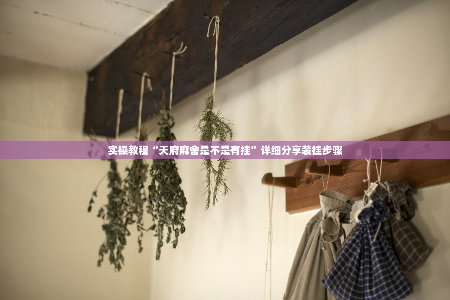 实操教程“天府麻舍是不是有挂	”详细分享装挂步骤