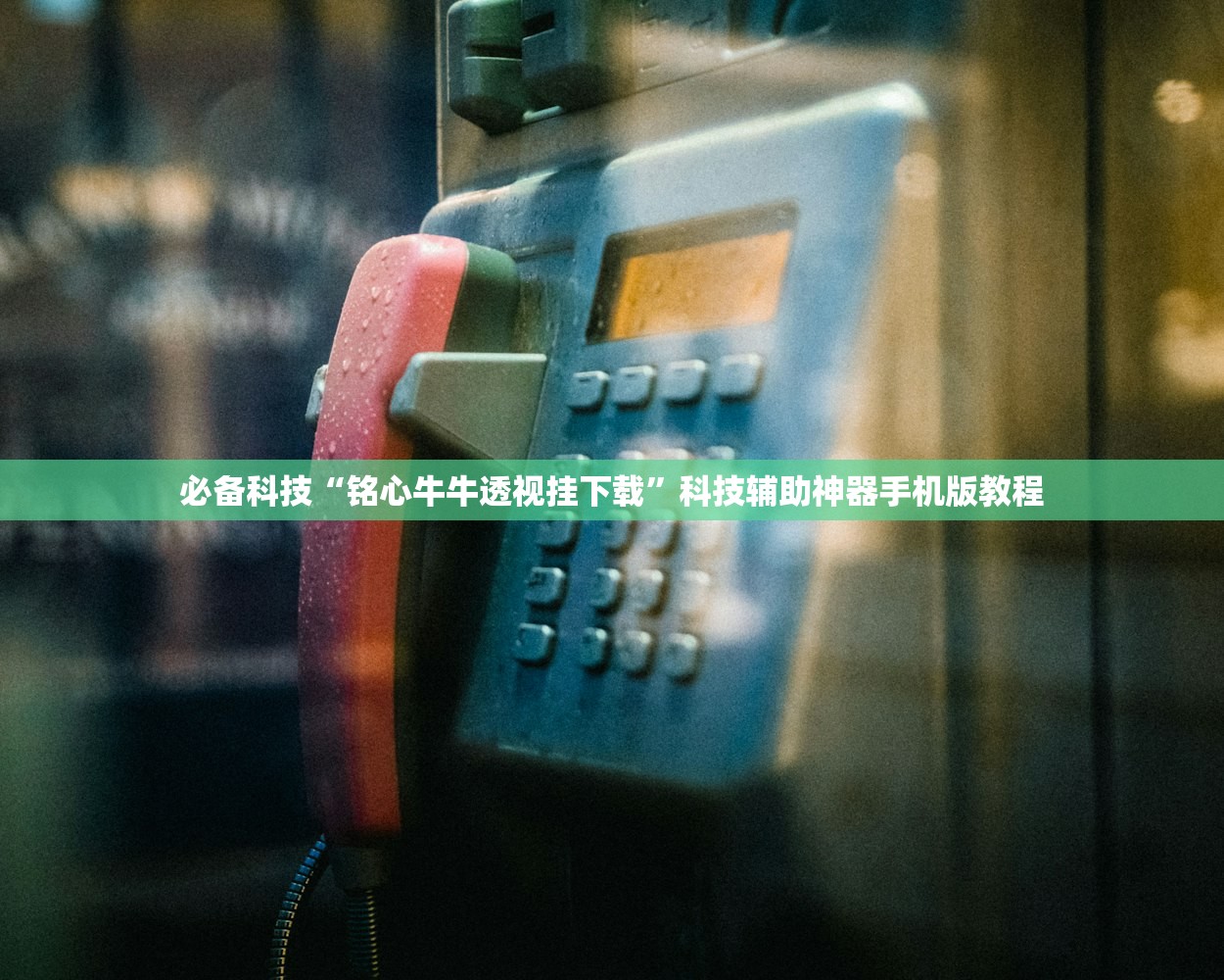 必备科技“铭心牛牛透视挂下载	”科技辅助神器手机版教程