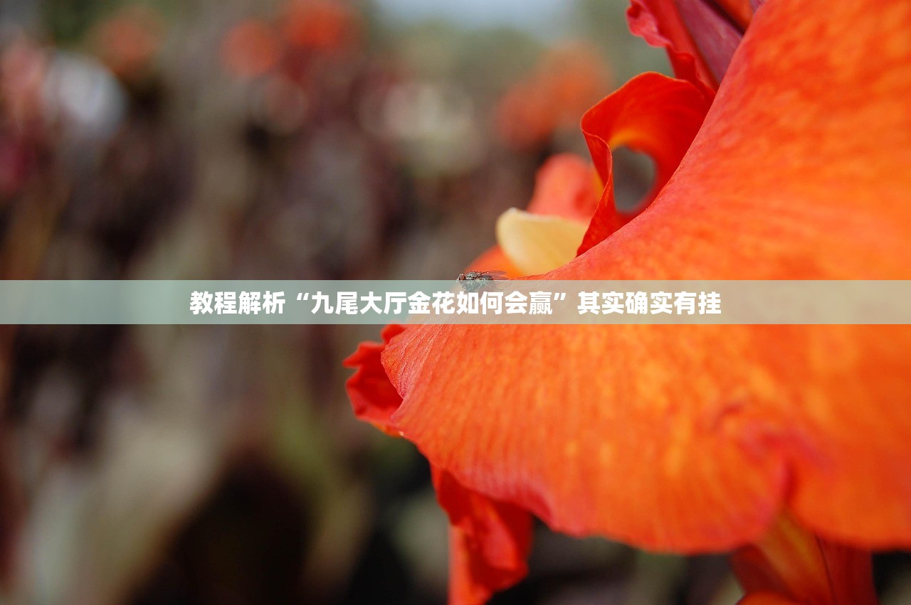 教程解析“九尾大厅金花如何会赢”其实确实有挂