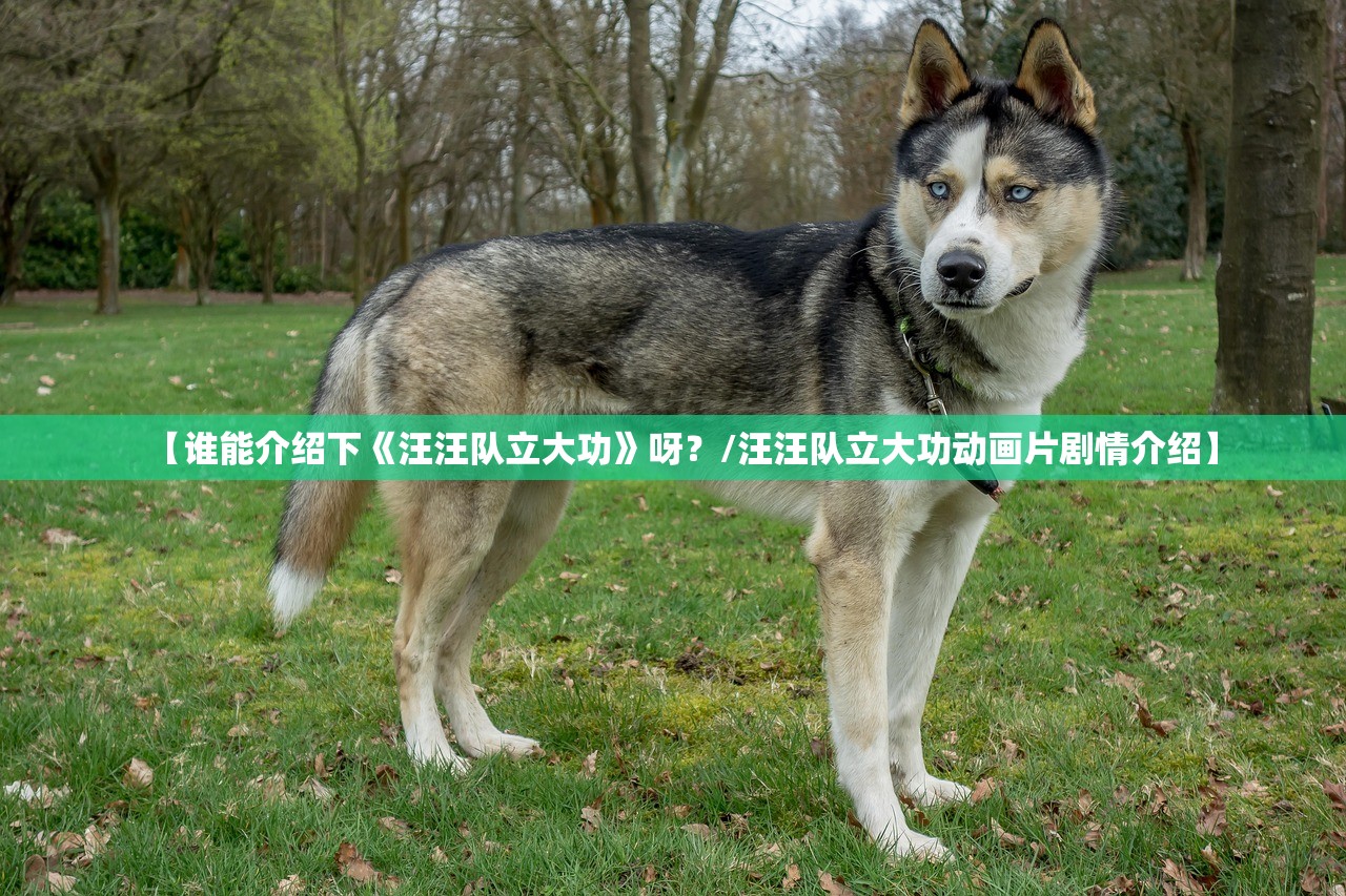 【谁能介绍下《汪汪队立大功》呀?/汪汪队立大功动画片剧情介绍】 【谁能介绍下《汪汪队立大功》呀?/汪汪队立大功动画片剧情介绍】