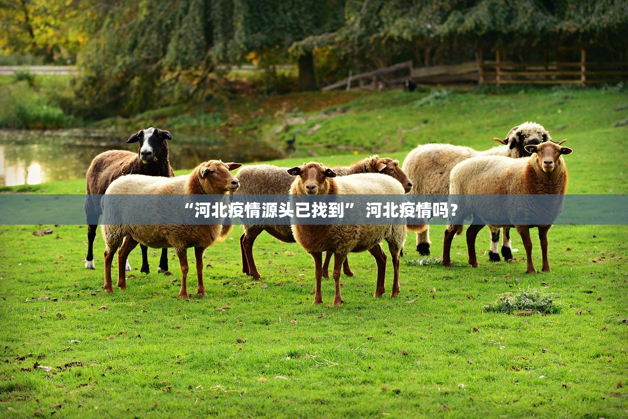 “河北疫情源头已找到” 河北疫情吗？