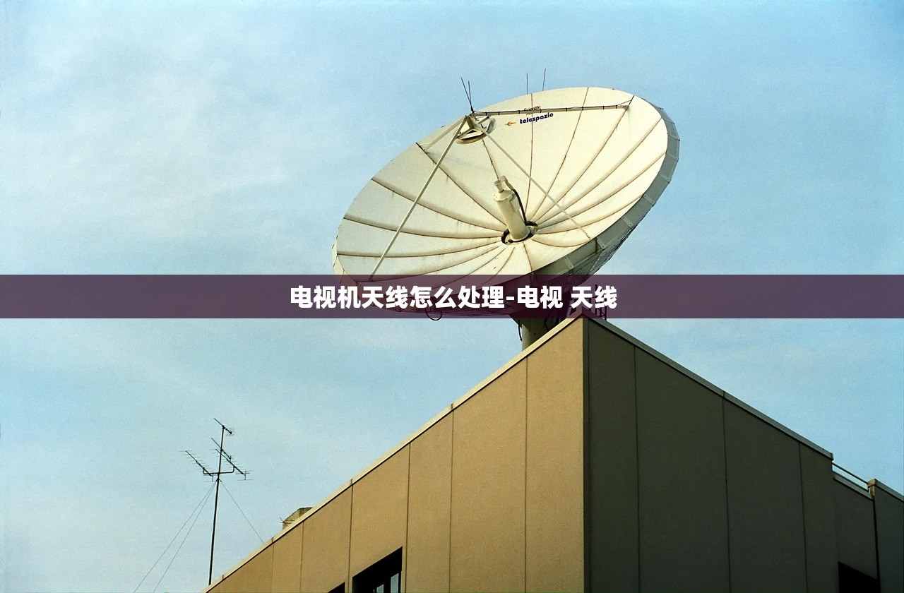 电视机天线怎么处理-电视 天线 电视机天线怎么处理-电视 天线