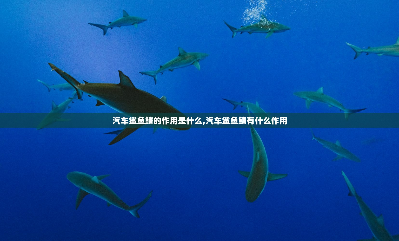 汽车鲨鱼鳍的作用是什么,汽车鲨鱼鳍有什么作用 汽车鲨鱼鳍的作用是什么,汽车鲨鱼鳍有什么作用
