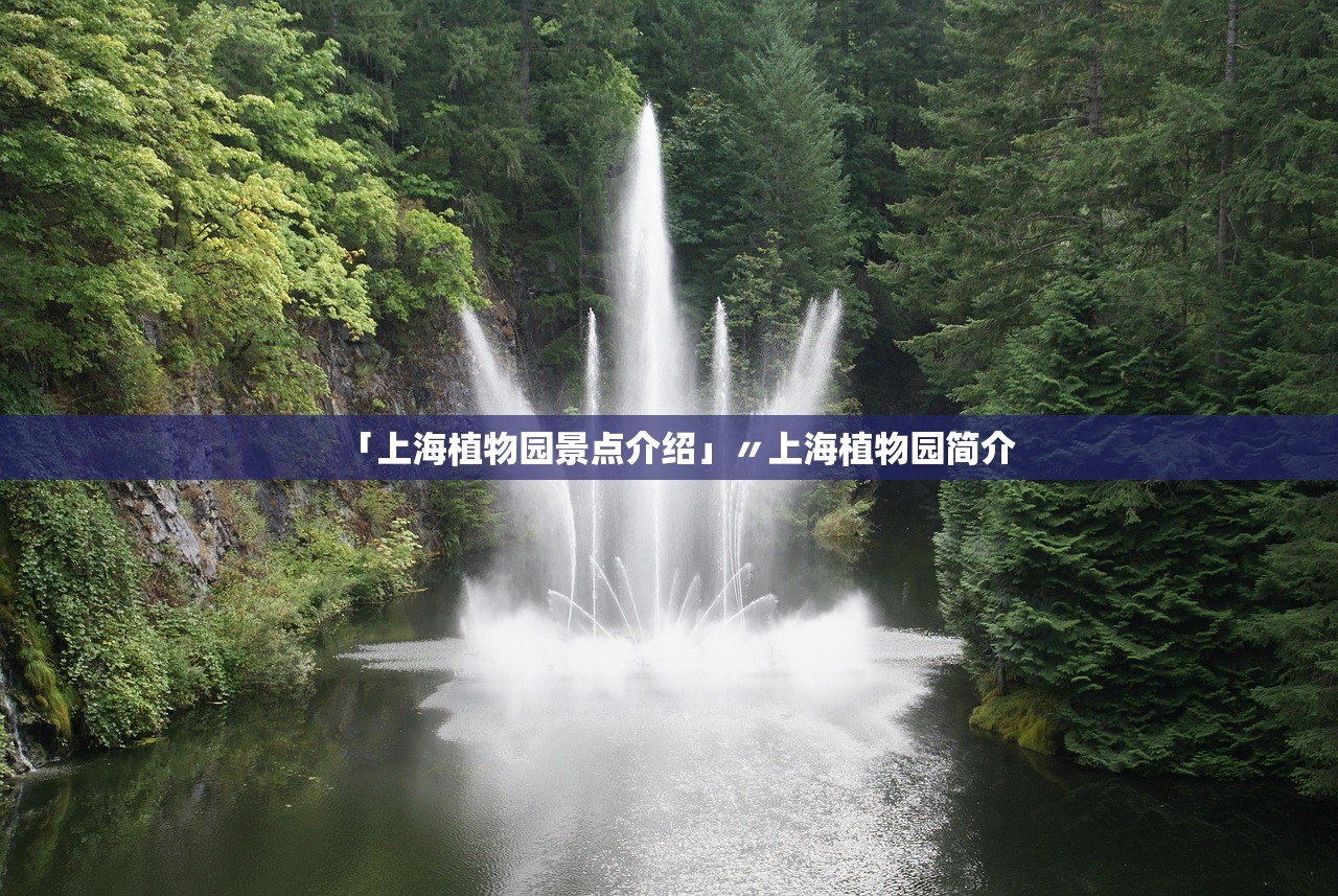「上海植物园景点介绍」〃上海植物园简介 「上海植物园景点介绍」〃上海植物园简介