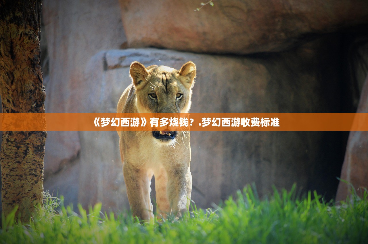 《梦幻西游》有多烧钱?.梦幻西游收费标准 《梦幻西游》有多烧钱?.梦幻西游收费标准
