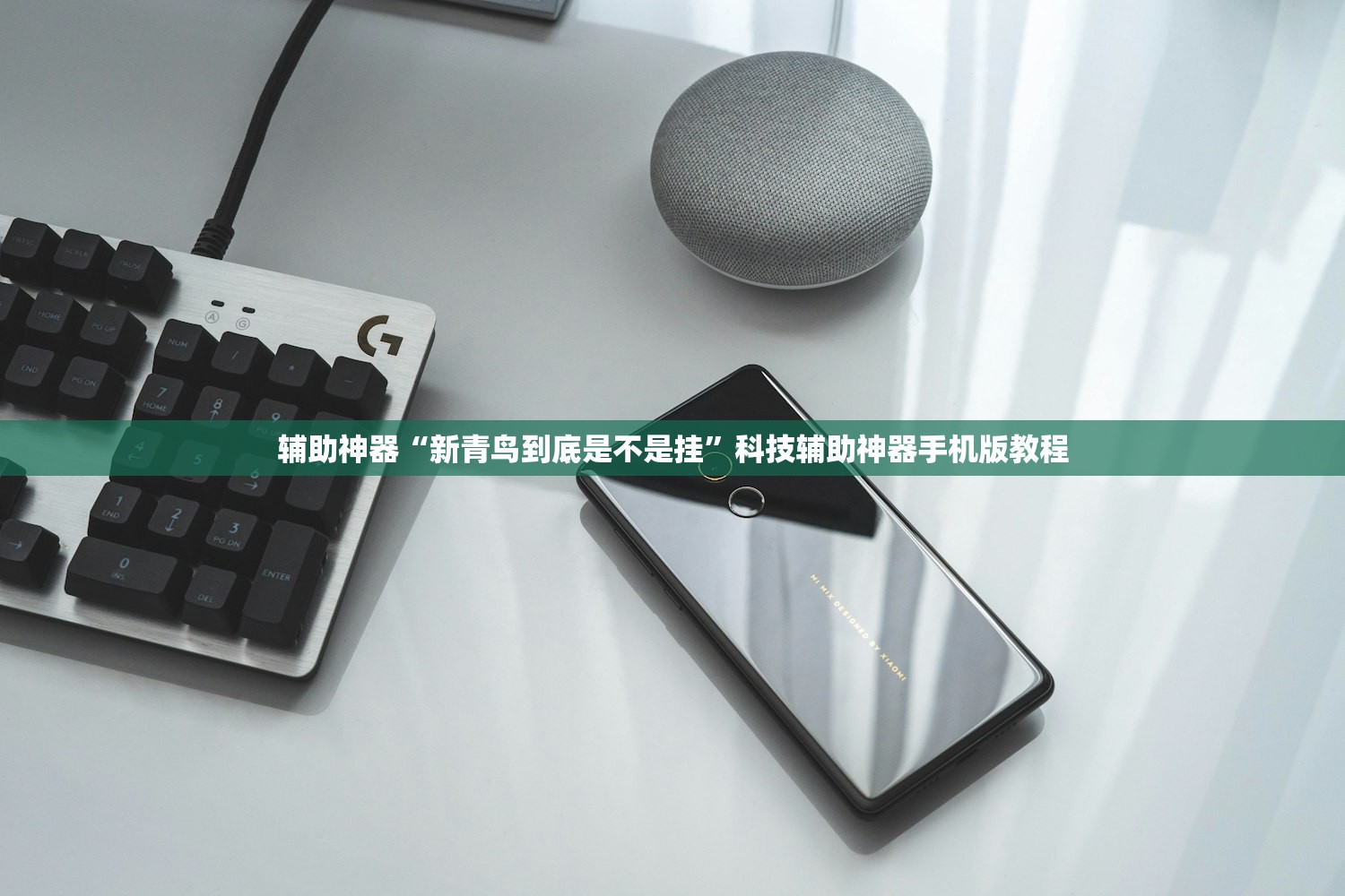 辅助神器“新青鸟到底是不是挂”科技辅助神器手机版教程