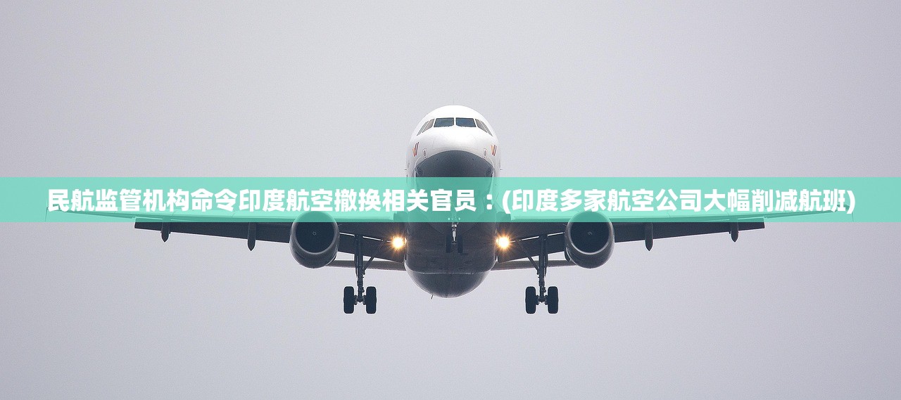 民航监管机构命令印度航空撤换相关官员︰(印度多家航空公司大幅削减航班)