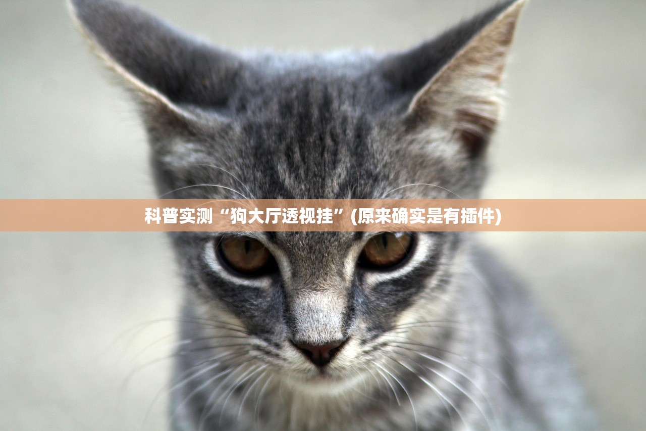 科普实测“狗大厅透视挂”(原来确实是有插件)