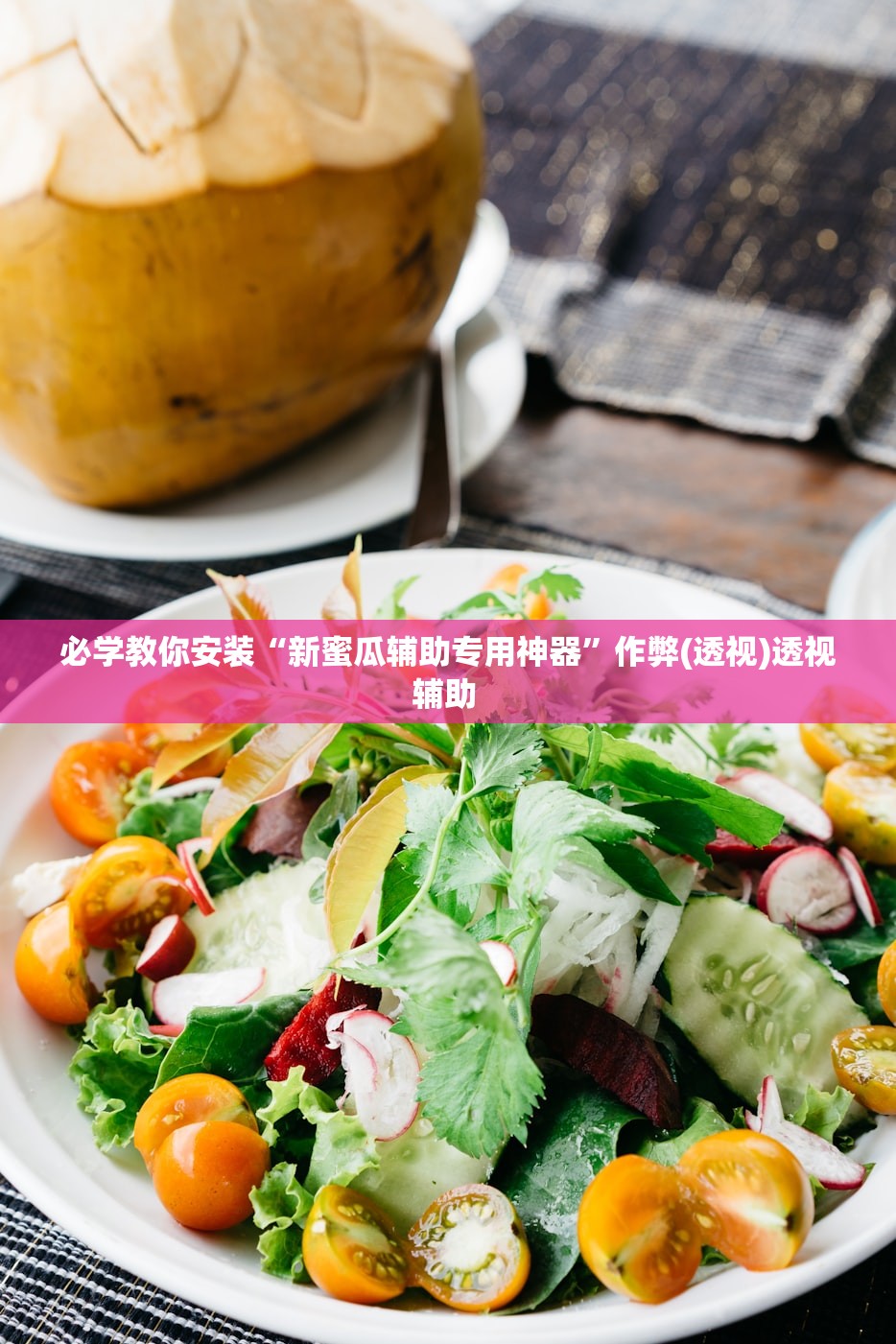 必学教你安装“新蜜瓜辅助专用神器”作弊(透视)透视辅助 