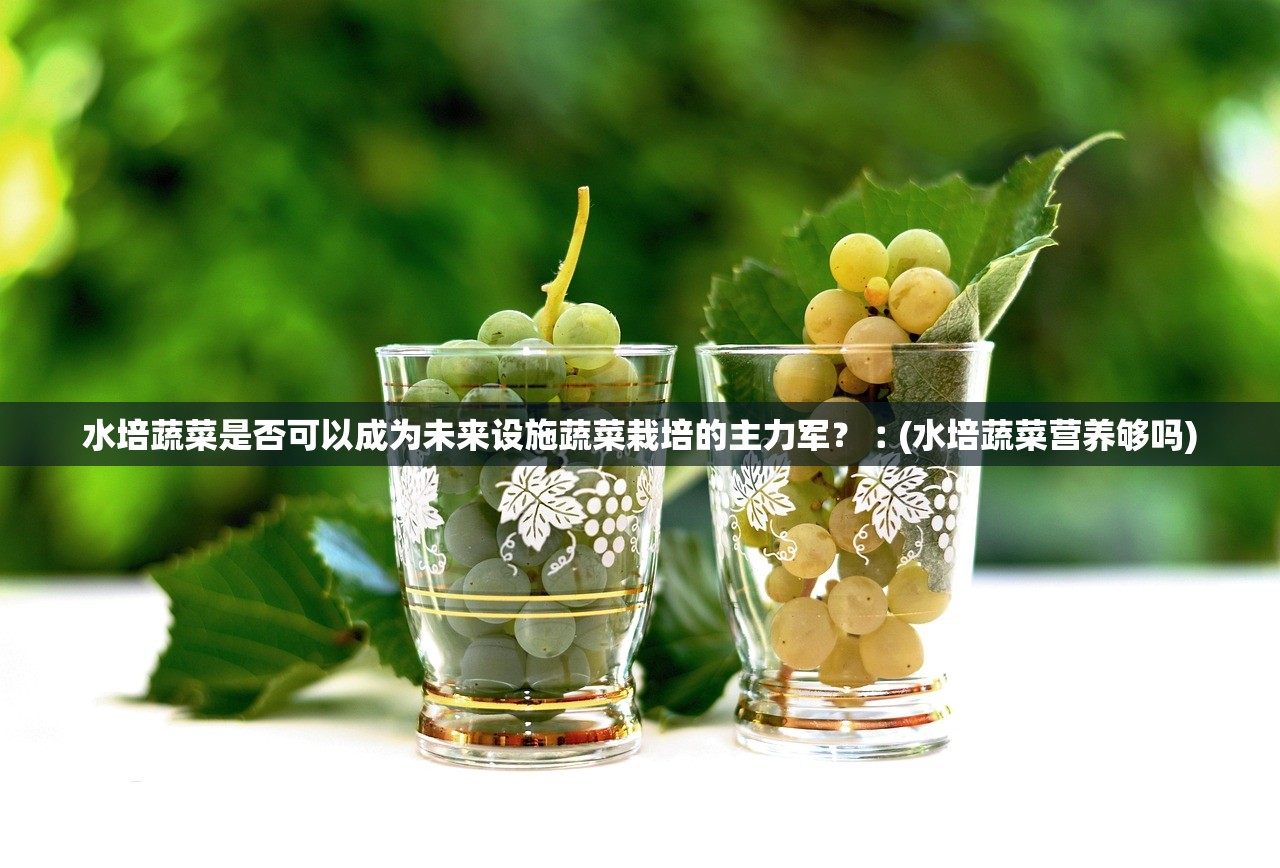 水培蔬菜是否可以成为未来设施蔬菜栽培的主力军?︰(水培蔬菜营养够吗) 水培蔬菜是否可以成为未来设施蔬菜栽培的主力军?︰(水培蔬菜营养够吗)