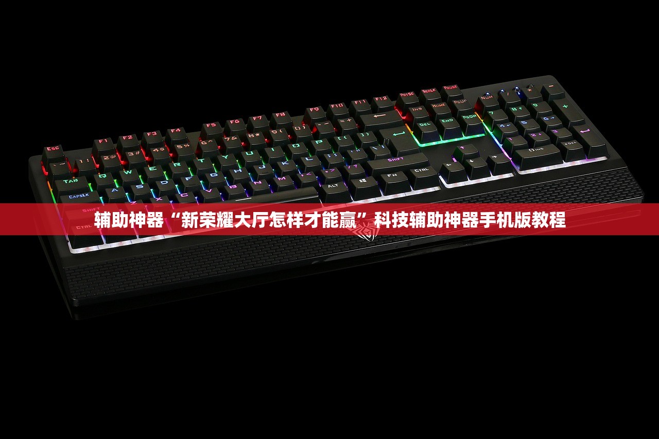 辅助神器“新荣耀大厅怎样才能赢”科技辅助神器手机版教程