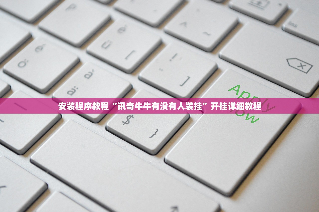 安装程序教程“讯奇牛牛有没有人装挂”开挂详细教程