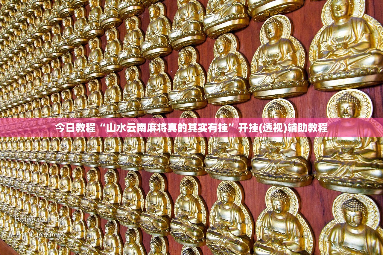 今日教程“山水云南麻将真的其实有挂”开挂(透视)辅助教程