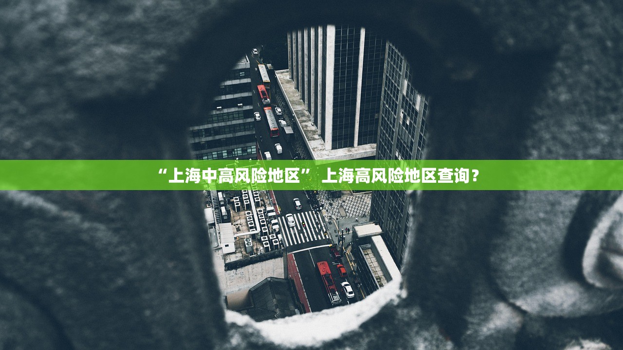 “上海中高风险地区” 上海高风险地区查询？