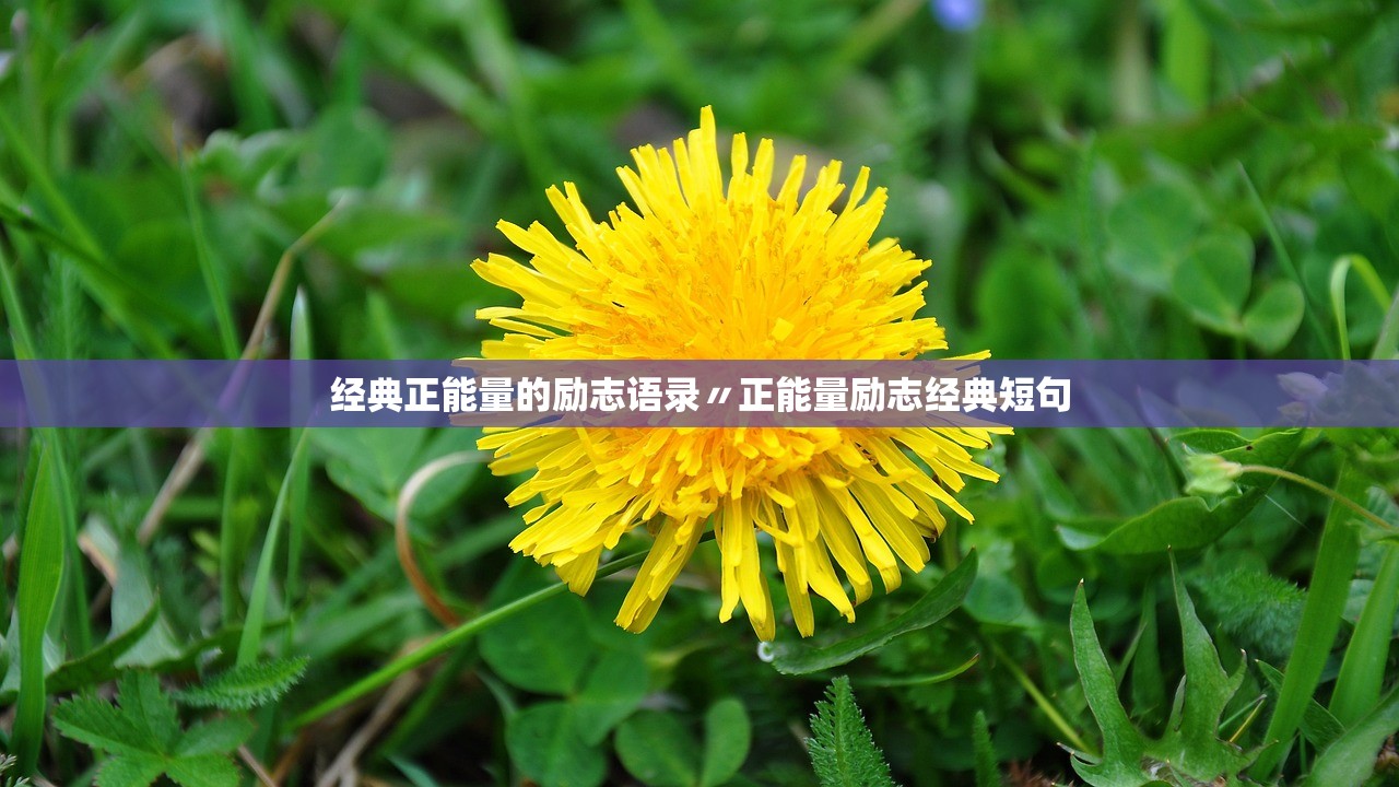 经典正能量的励志语录〃正能量励志经典短句 经典正能量的励志语录〃正能量励志经典短句