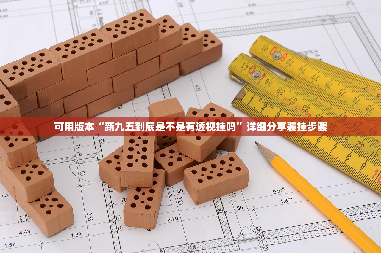 可用版本“新九五到底是不是有透视挂吗”详细分享装挂步骤