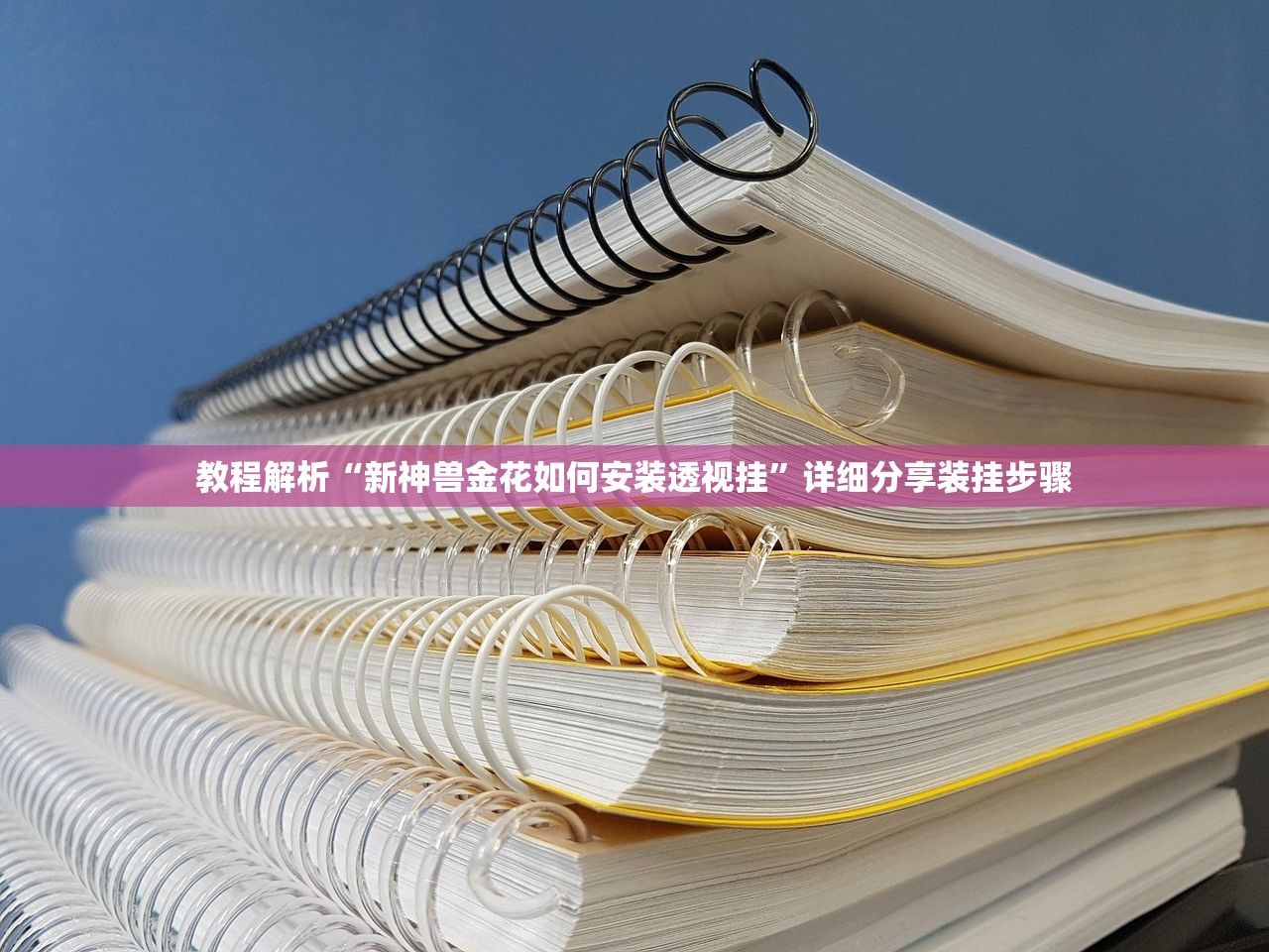 教程解析“新神兽金花如何安装透视挂”详细分享装挂步骤