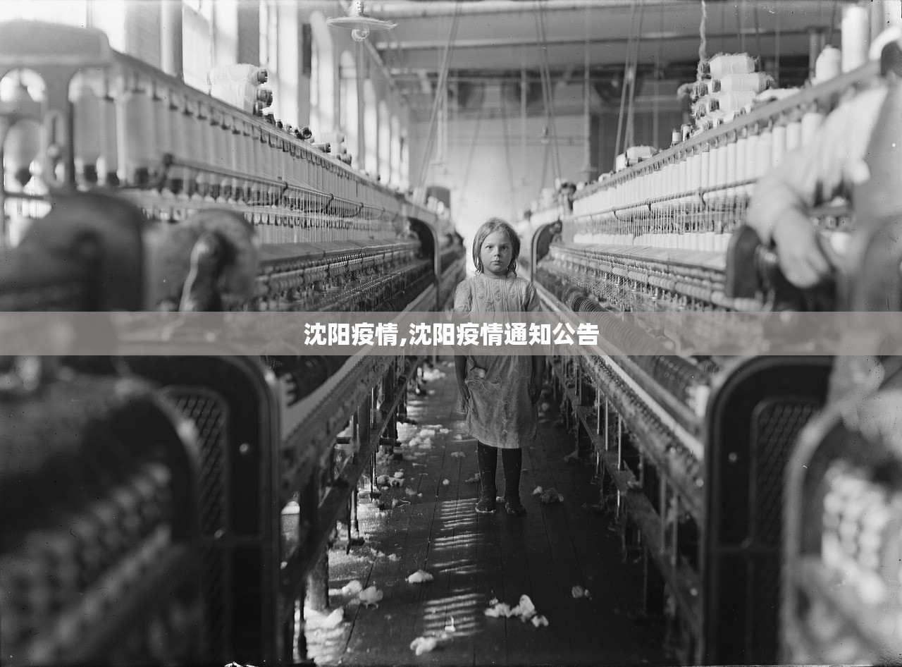 沈阳疫情,沈阳疫情通知公告 沈阳疫情,沈阳疫情通知公告