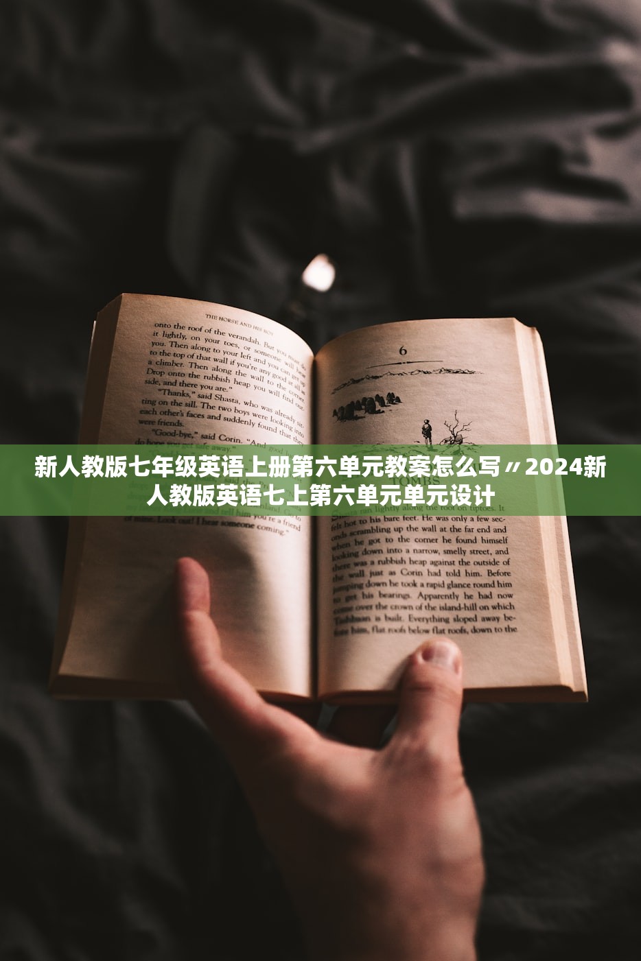 新人教版七年级英语上册第六单元教案怎么写〃2024新人教版英语七上第六单元单元设计 新人教版七年级英语上册第六单元教案怎么写〃2024新人教版英语七上第六单元单元设计