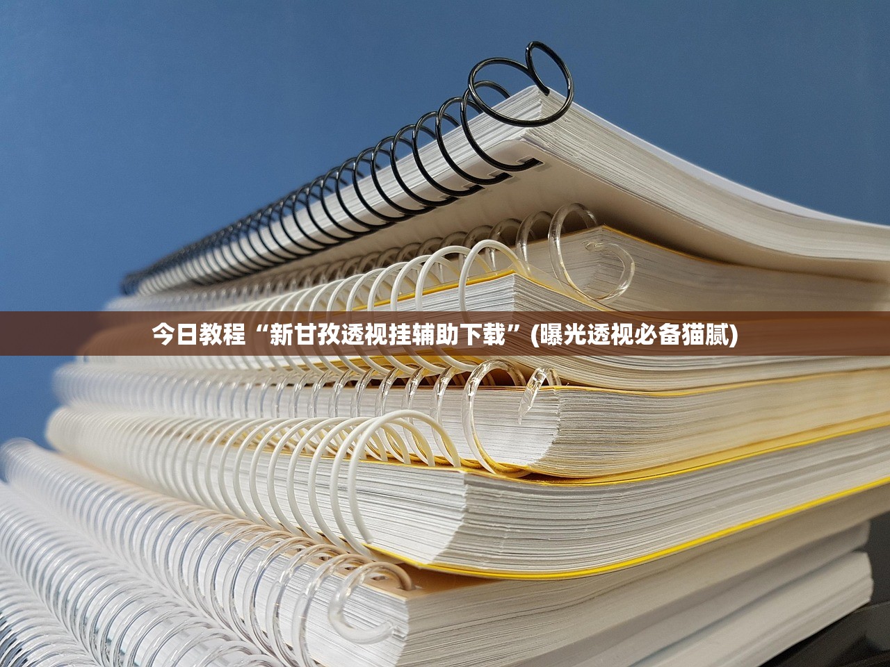 今日教程“新甘孜透视挂辅助下载”(曝光透视必备猫腻)