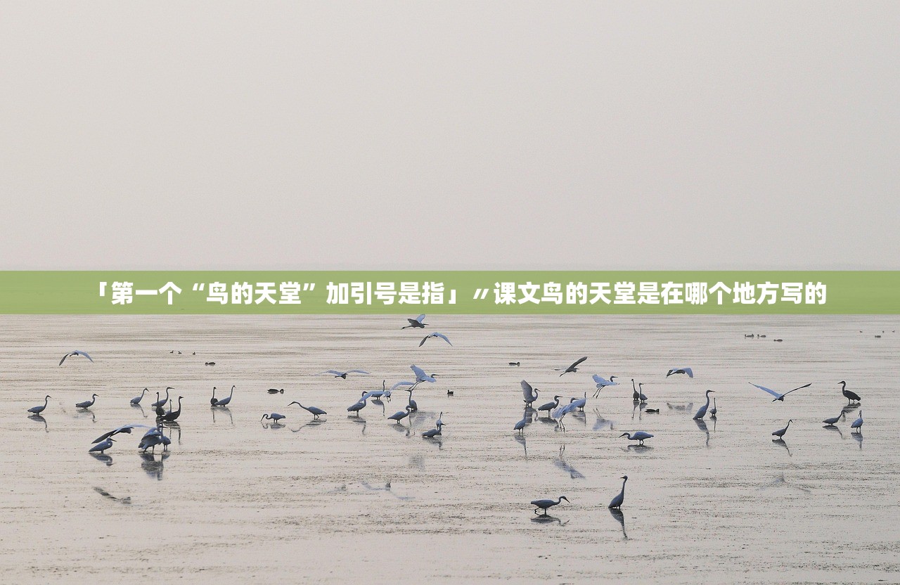 「第一个“鸟的天堂”加引号是指」〃课文鸟的天堂是在哪个地方写的