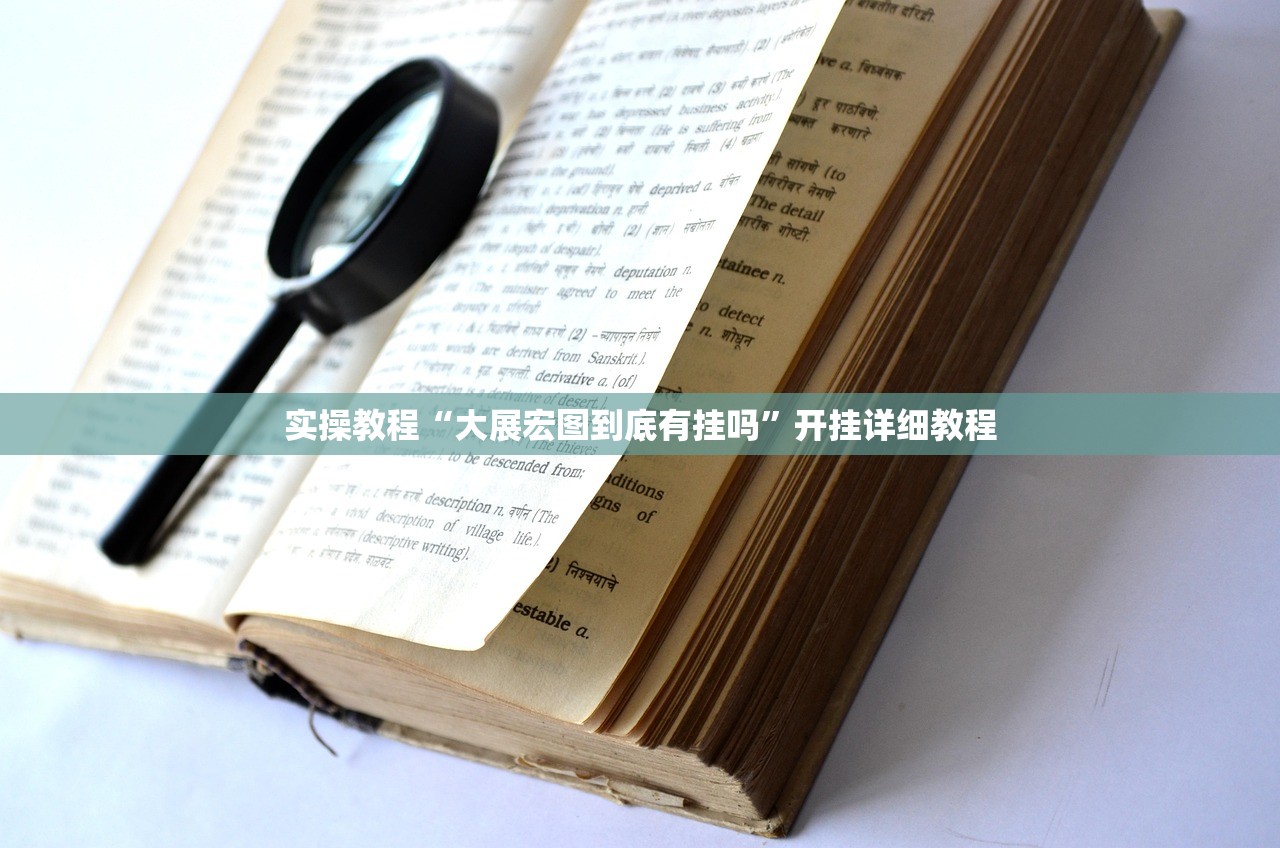 实操教程“大展宏图到底有挂吗”开挂详细教程