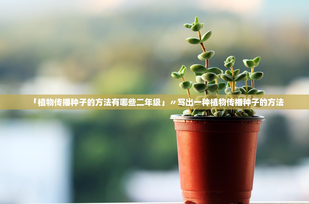 「植物传播种子的方法有哪些二年级」〃写出一种植物传播种子的方法