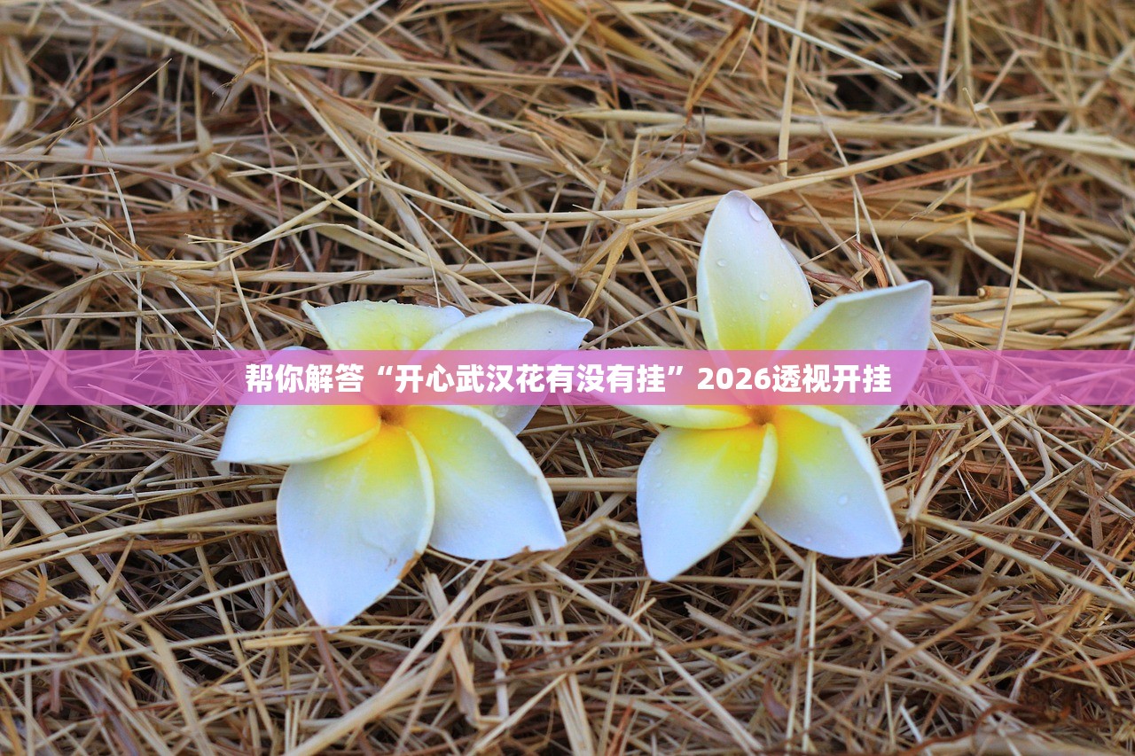 帮你解答“开心武汉花有没有挂	”2026透视开挂