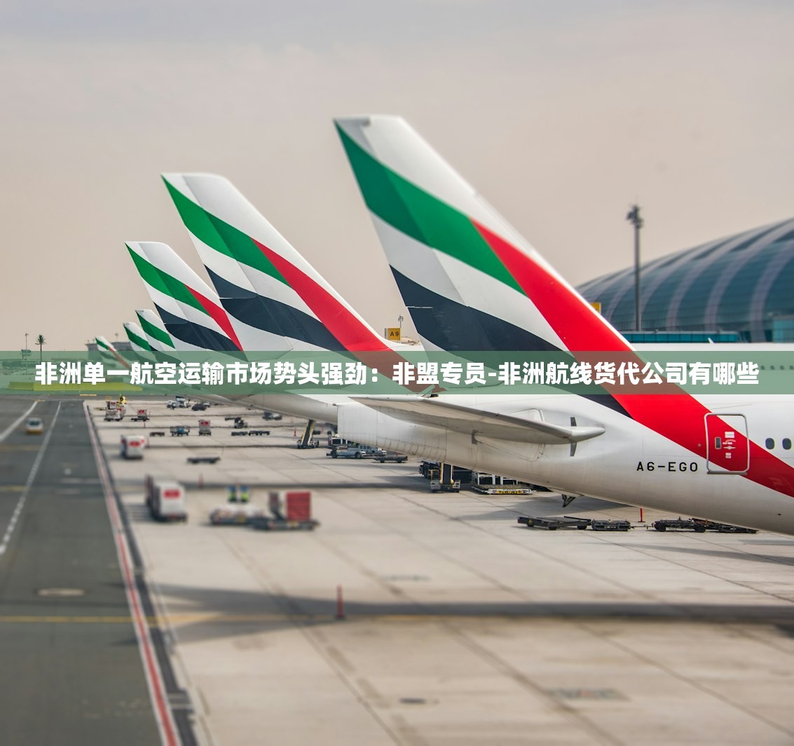 非洲单一航空运输市场势头强劲：非盟专员-非洲航线货代公司有哪些