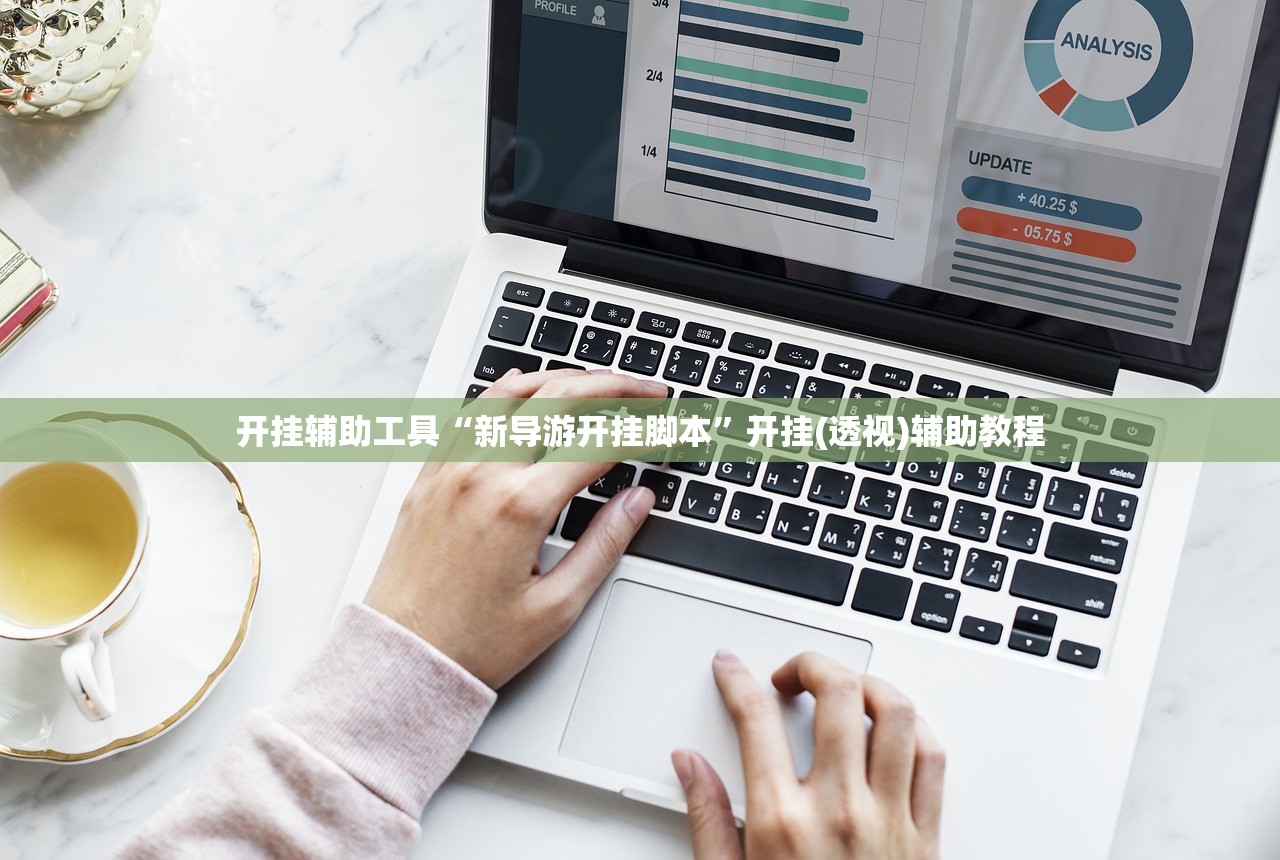 开挂辅助工具“新导游开挂脚本	”开挂(透视)辅助教程
