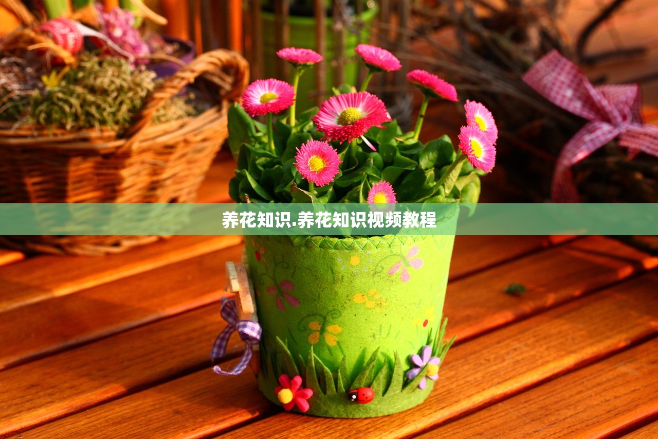 养花知识.养花知识视频教程 养花知识.养花知识视频教程