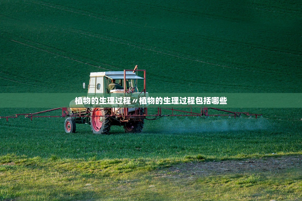 植物的生理过程〃植物的生理过程包括哪些 植物的生理过程〃植物的生理过程包括哪些