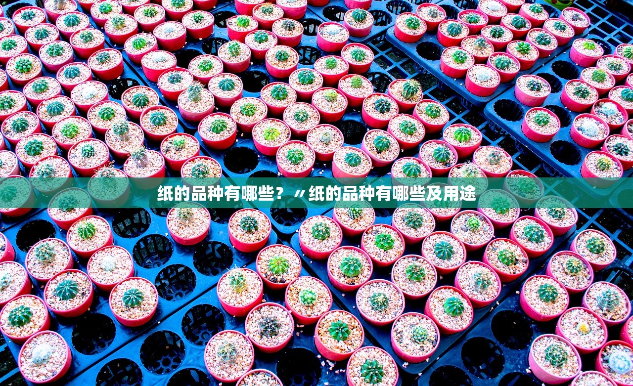 纸的品种有哪些?〃纸的品种有哪些及用途 纸的品种有哪些?〃纸的品种有哪些及用途