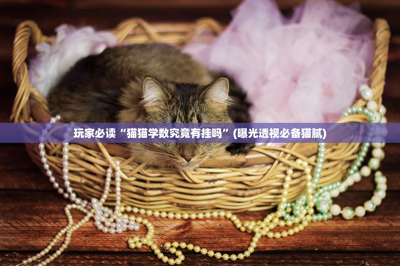 玩家必读“猫猫学数究竟有挂吗”(曝光透视必备猫腻)