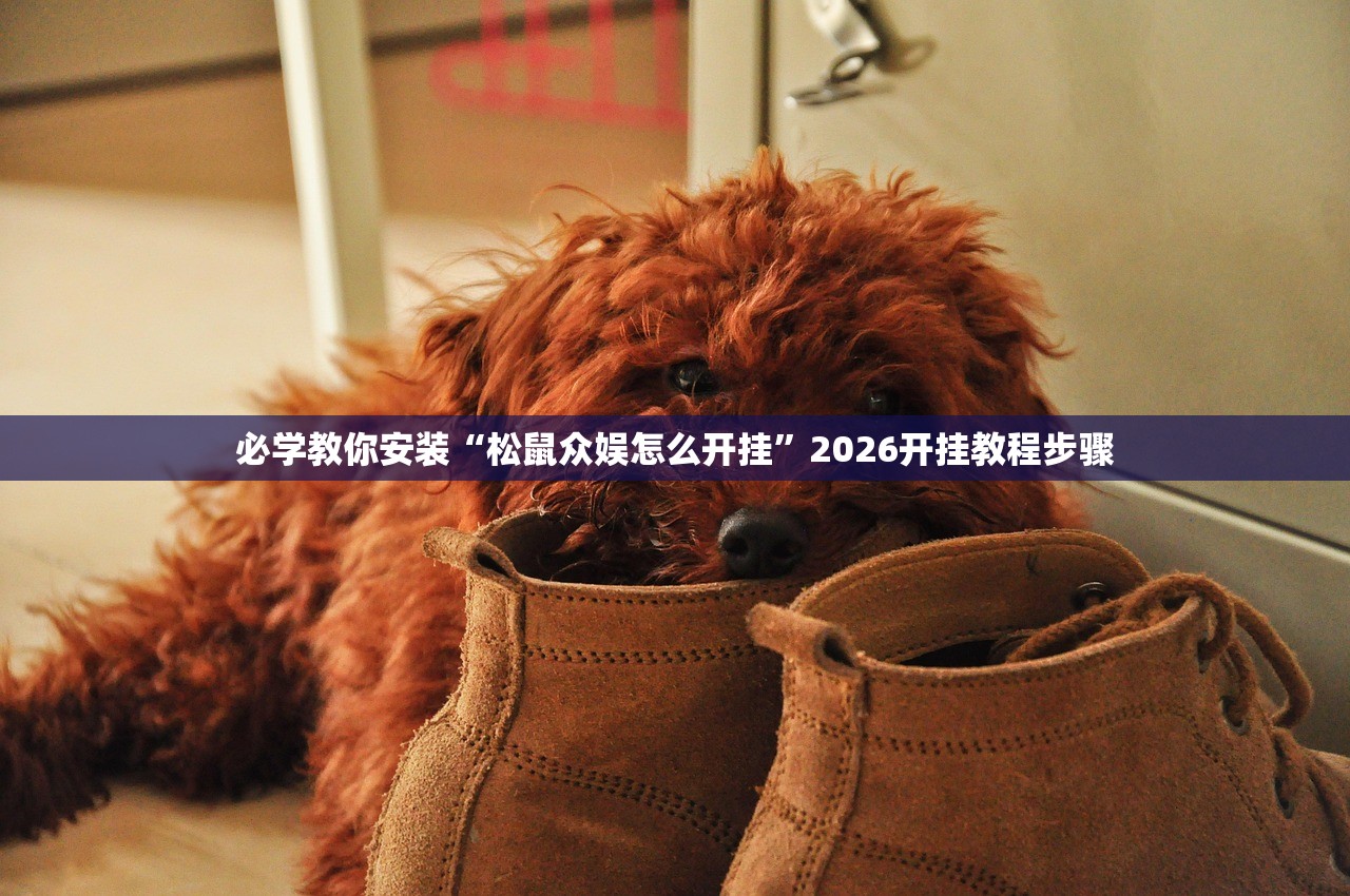必学教你安装“松鼠众娱怎么开挂	”2026开挂教程步骤