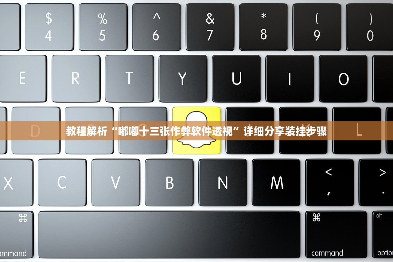 教程解析“嘟嘟十三张作弊软件透视”详细分享装挂步骤